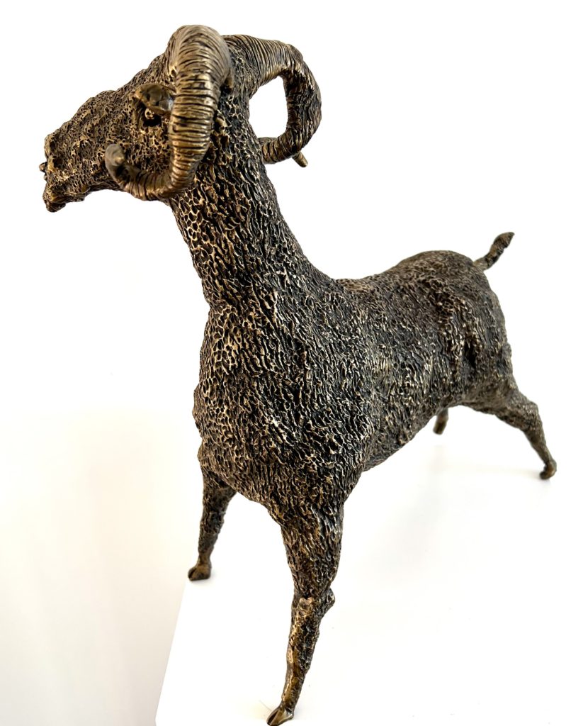 Sheep with Horns - Bronze